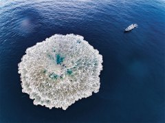 用全部的付出和热爱