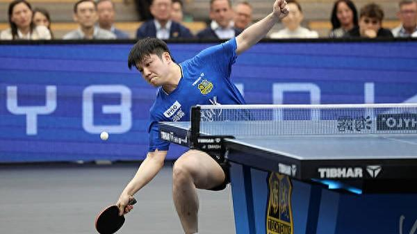 樊振东转会杜塞尔多夫开启中德乒乓球新篇章