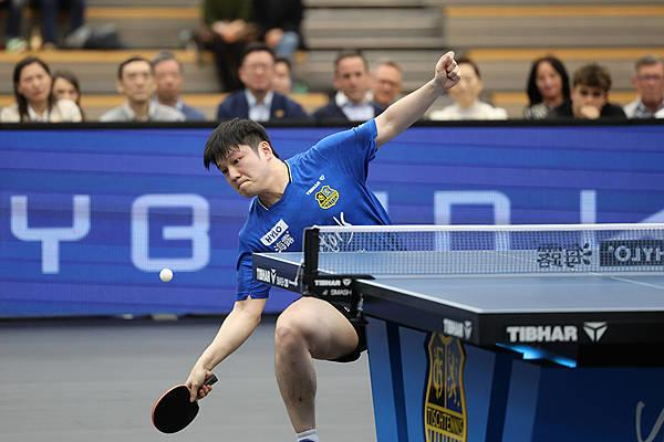 樊振东转会杜塞尔多夫开启中德乒乓球新篇章