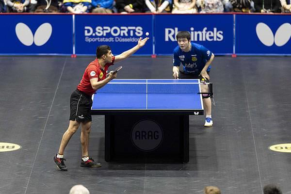 樊振东转会杜塞尔多夫开启中德乒乓球新篇章